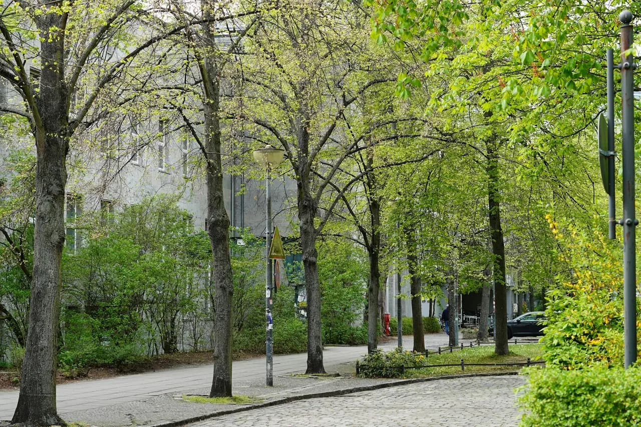 Praça revitalizada com bancos, árvores e caminho de pedestres